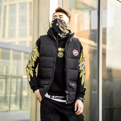 今年啥產(chǎn)品最火,兄弟們知道嗎 大鵝羽絨馬甲