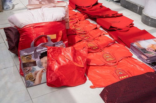 低至四折的明星產(chǎn)品藏貓膩 水星家紡大豆被遭仿冒，上海警方搗毀偽劣羽絨制品窩點(diǎn)